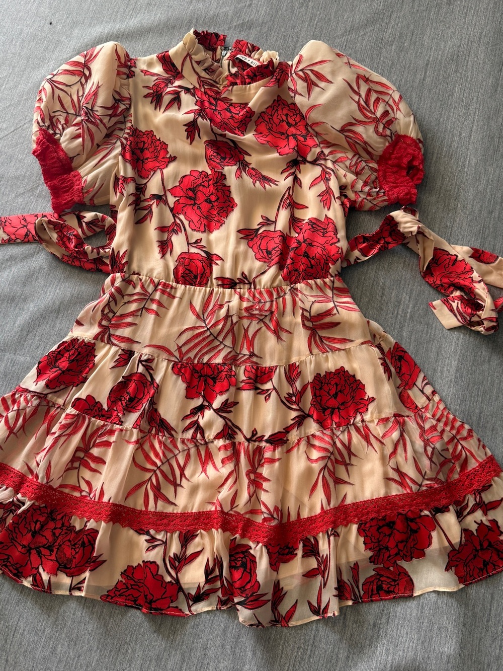 Alice + Olivia Regan Fil Coupé Chiffon Mini Dress size 4, NEW! - Picture 4 of 10